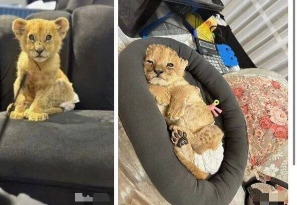    Фото: прокуратура Москвы