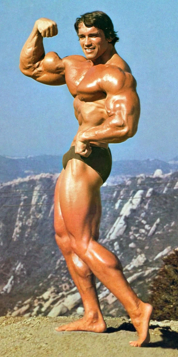 "Железного Арни" знали и любили все, не так ли?