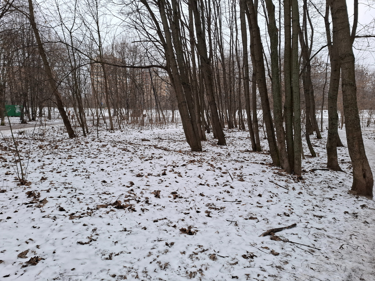 Вот, нашла немного снега