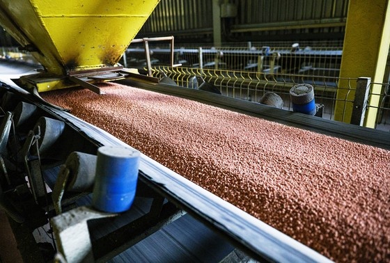    Эрик Романенко/ТАСС