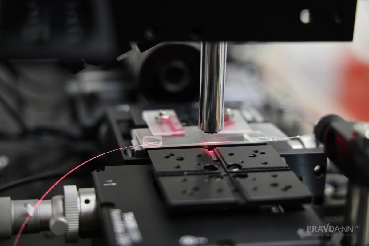    8 февраля отмечается День российской науки