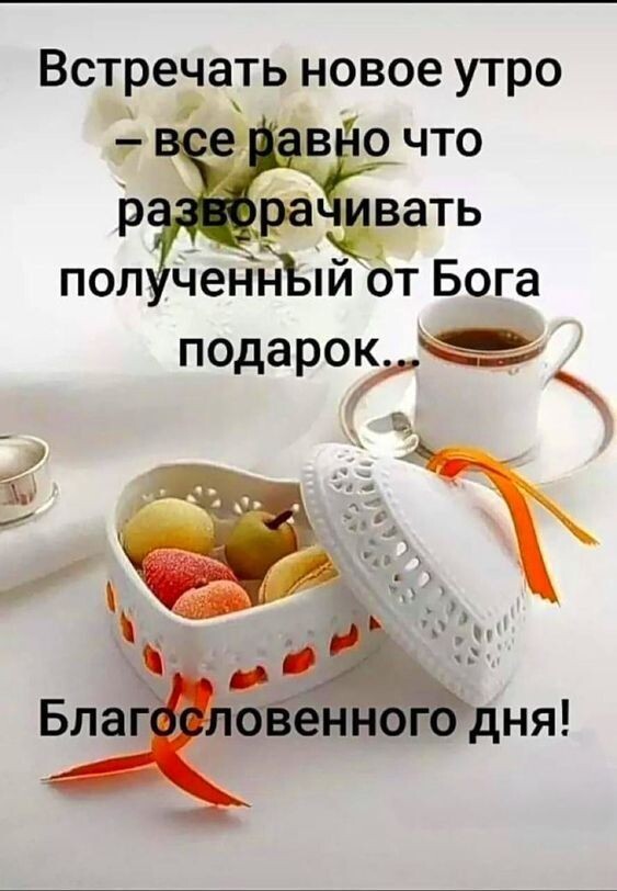 Доброе утро моя девочка мем