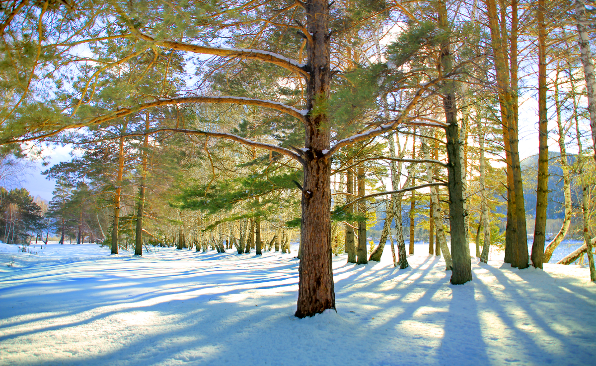 Фотография, стихотворение Василия Глуцкого