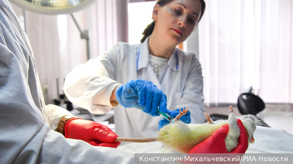     Фото: Константин Михальчевский/РИА Новости   
 Текст: Андрей Резчиков