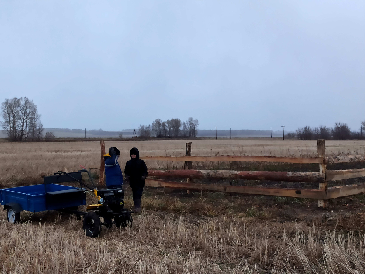 Помощники: ребятишки и мотоблок