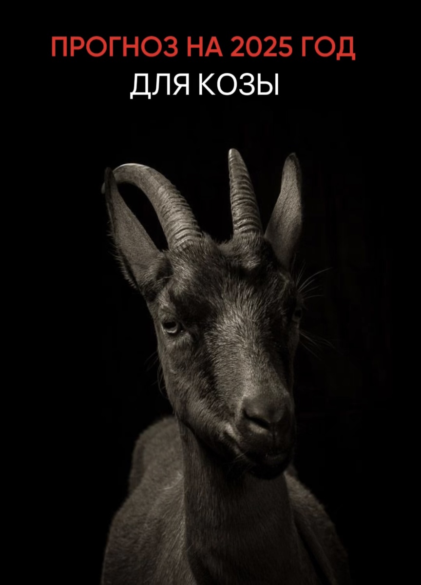 Индивидуальный прогноз по каждому элементу личности на 2025 год можно забрать здесь ⤵️
