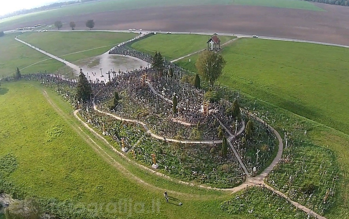 Фото из Яндекс Картинки