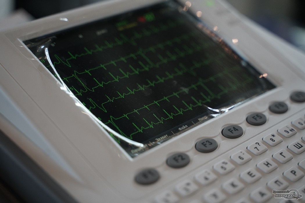    Фото: Лидия Аникина © ИА «Уральский меридиан»