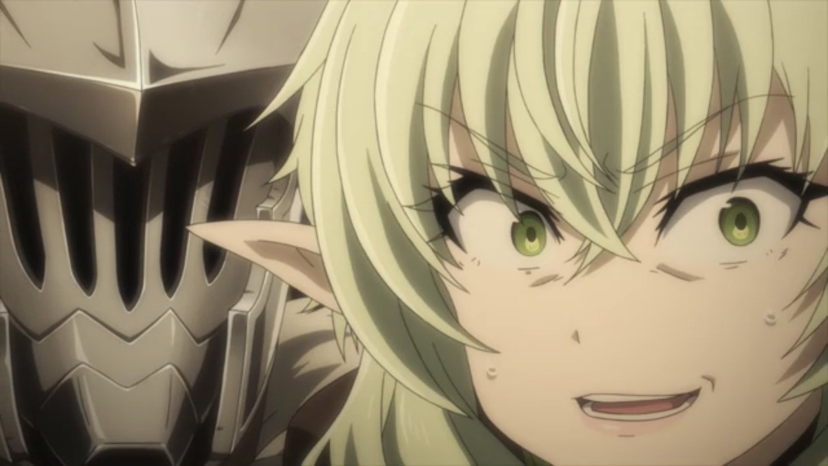 Будучи ребёнком, на его деревню напали гоблины. Всех убили, девушек изнасиловали, сестру его тоже. И он ничего не мог сделать. Но такое событие оставило отпечаток. И теперь, им движет только одно. Убивать гоблинов. И вот, по сути, это весь сюжет. 

Не смотря на не плохой рисунок. Хорошую цветовую гамму, персонажей, которые нарисованы не плохо. Юмор, который тоже не плох, не прям до слёз, но не плохо. Аниме, довольно жестокое. Особенно в самом начале, где окей, ты уже привык к такому, что гоблинов убивают. Но вот когда в самом начале убивают персонажей, при этом девушек насилуют. Не прям показывают, но ещё шаг и это мог быть полноценный хентай. Ты немного офигеваешь. Повторюсь, для аниме, которое в начале выглядит так, словно это просто фэнтези комедия, где будут лёгкие приключения, гаремник, такое увидеть, неожиданно. 

Вообщем, Убийца Гоблинов, не станет аниме, которое надо пересматривать раз за разом. Там много своих нюансов. Как в сюжетной части. В поведении героев и их логики. Может, кто-то будет придираться к рисунку. Но при этом, как я уже говорил. Аниме настолько плохо, что это настолько хорошо. Вообще, если прям не придираться сильно, то можно и найти драматичный, мотивирующий сюжет. 

Лично мне понравилось, 7 гоблинов из 10✌️