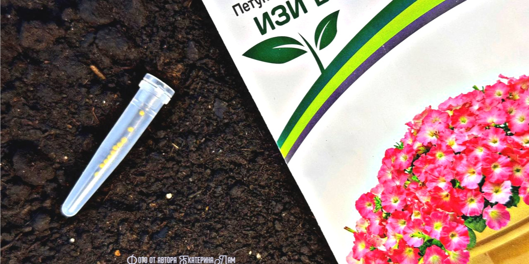 Я ДЕЛАЮ ТАК😊 И МОЯ ПЕТУНИЯ ПЫШНО ЦВЕТЁТ ВСЁ ЛЕТО🌺.