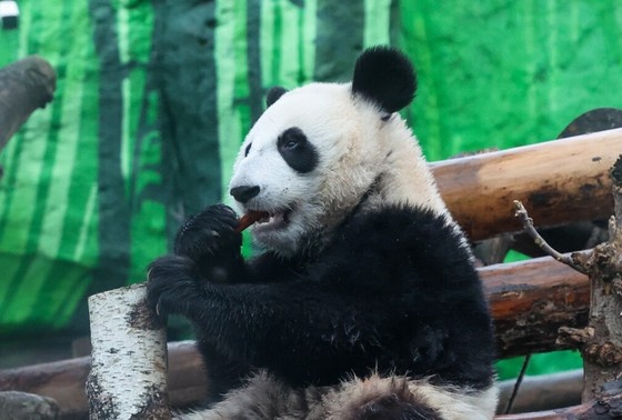    Алексей Белкин/NEWS.ru