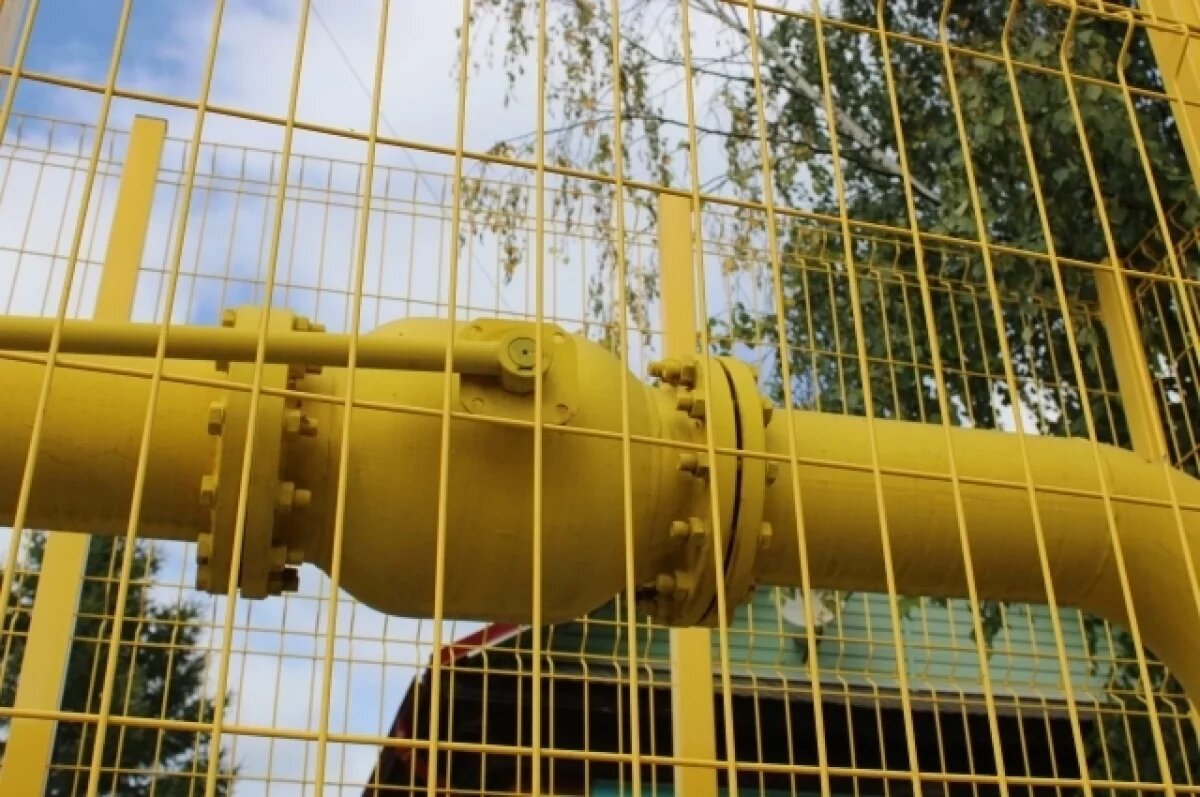    Чибис обсудил с Новаком вопросы газификации Мурманской области