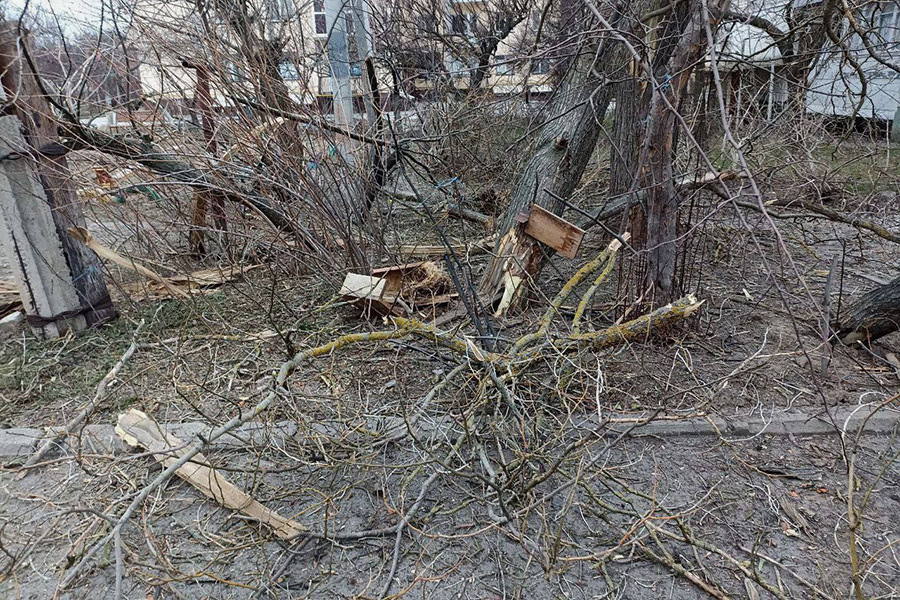 Как выглядит удар после орешника