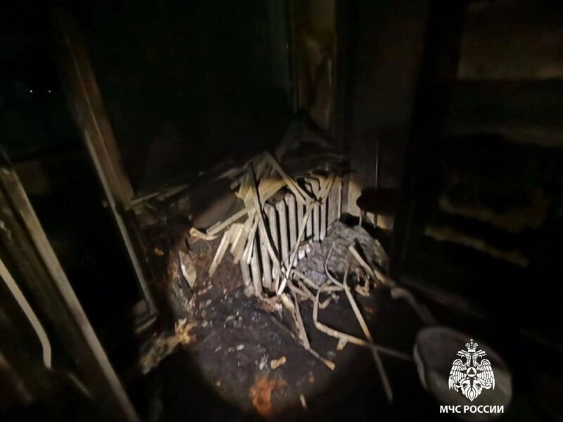    Фото: ГУ МЧС по Ульяновской области