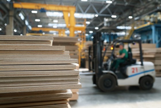    Владимир Смирнов/ТАСС