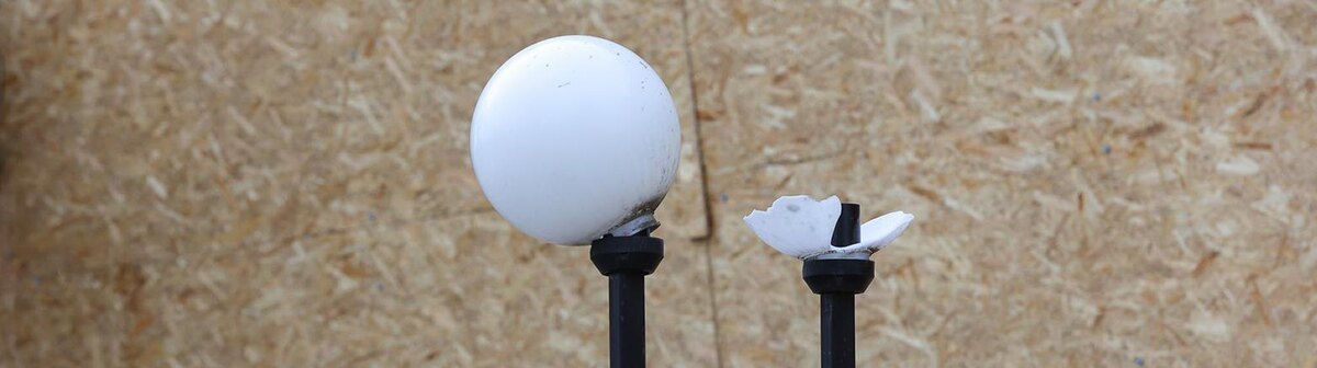    Фото: Антон Вергун