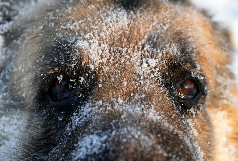     / Источник: © Илья Наймушин/РИА Новости