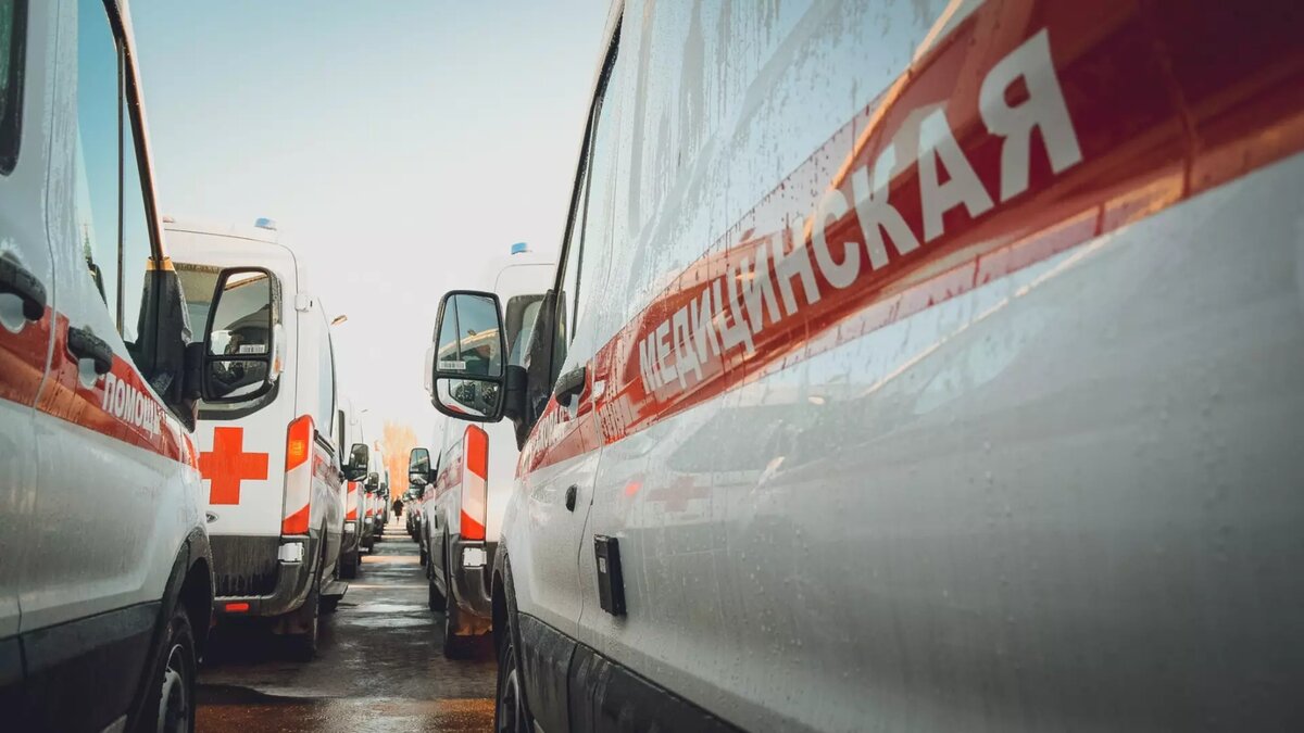     Источник: novostivolgograda.ru