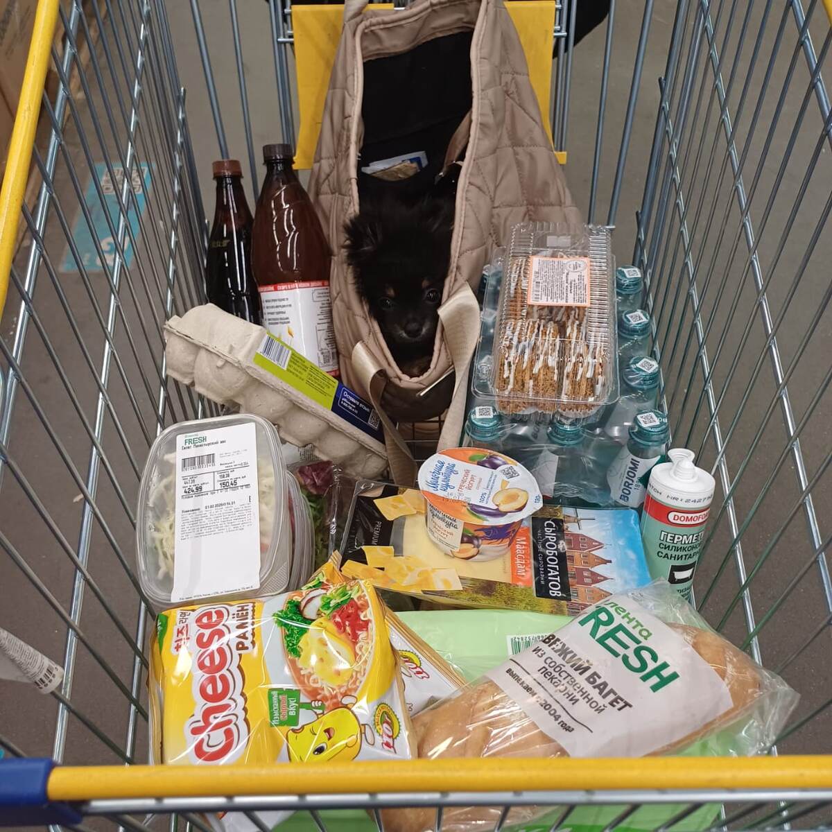 Хорошо иметь маленького песика, можно пронести куда угодно. Если согласны ставь 👍