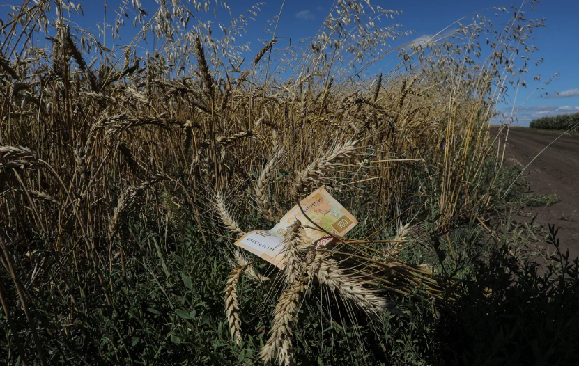 Источник фото: сайт Поле.РФ