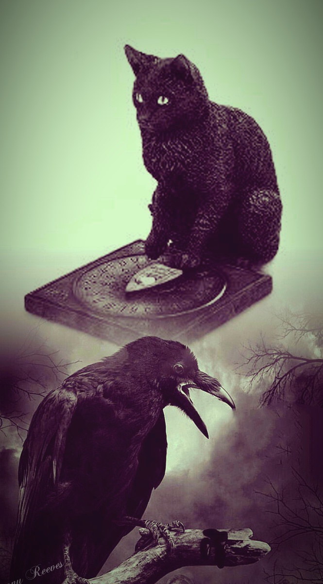 Фотоколлаж автора статьи 