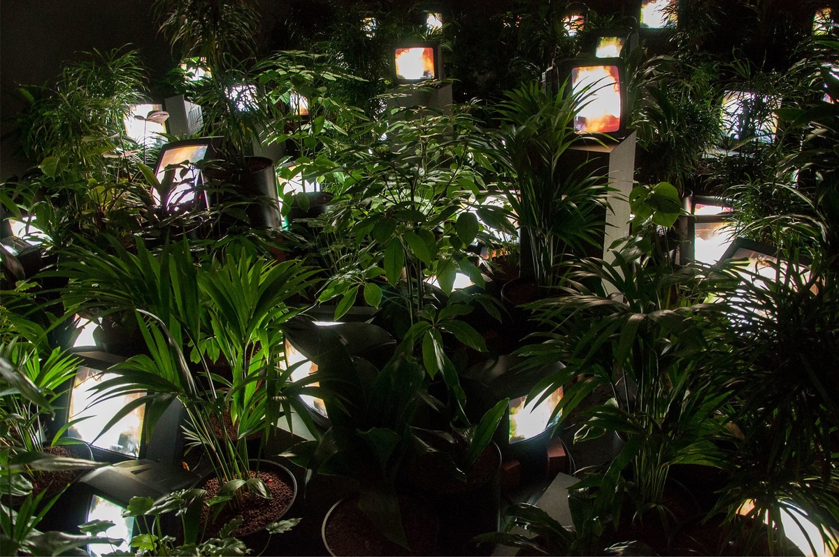 TV Garden, Нам Джун Пайк (1974)