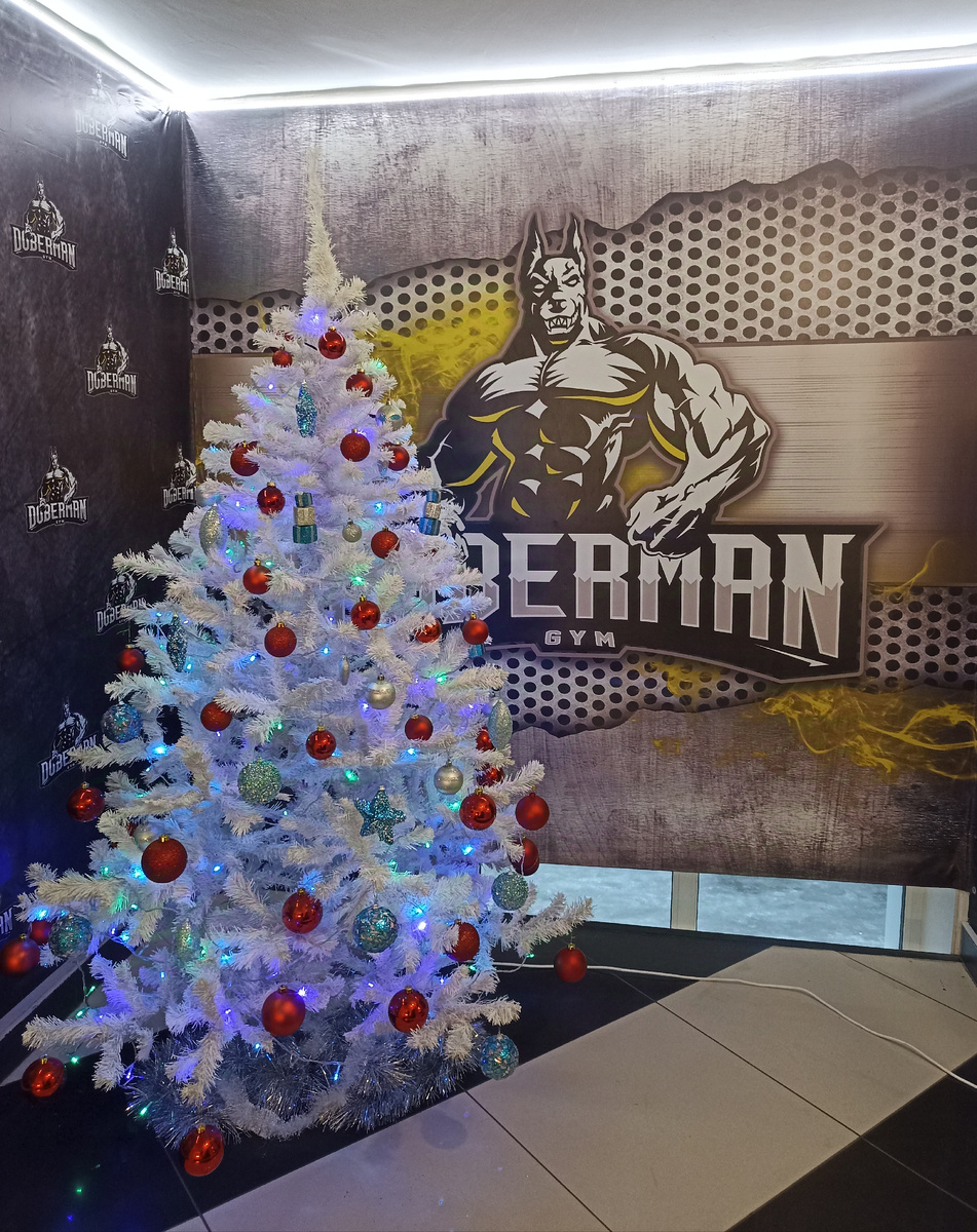 Соревнования проходили в спортивном клубе "Доберман".