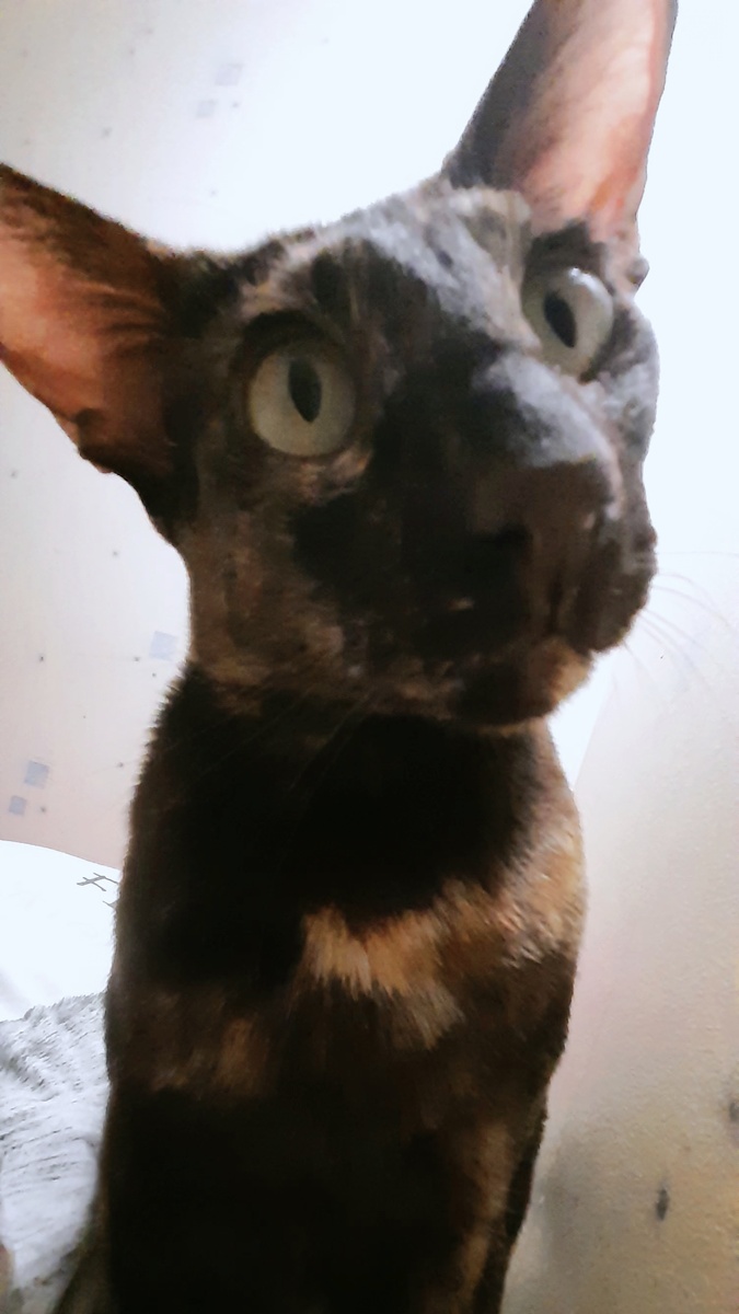 Здесь явно что-то есть. 