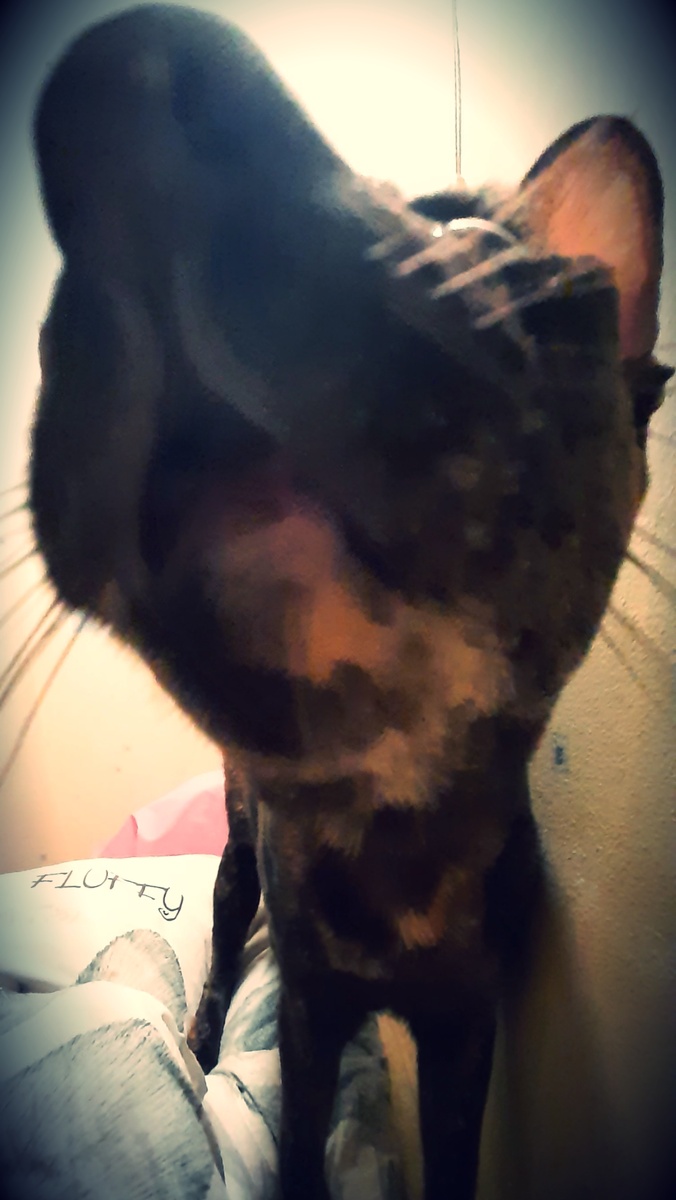 Пахнет золотом!