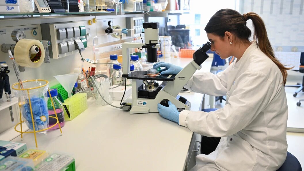    Bernd WeiÃŸbrod/dpa/Globallookpress