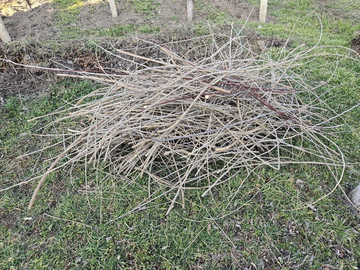 Будущая мульча