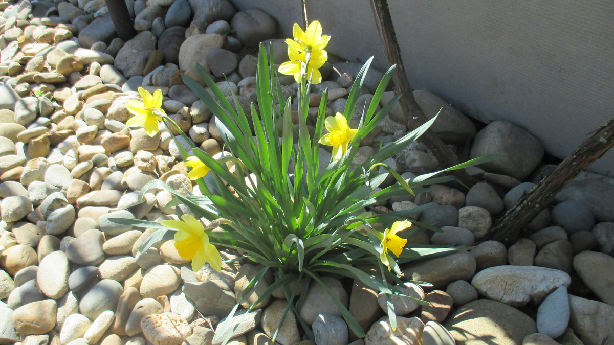 Просто фото 