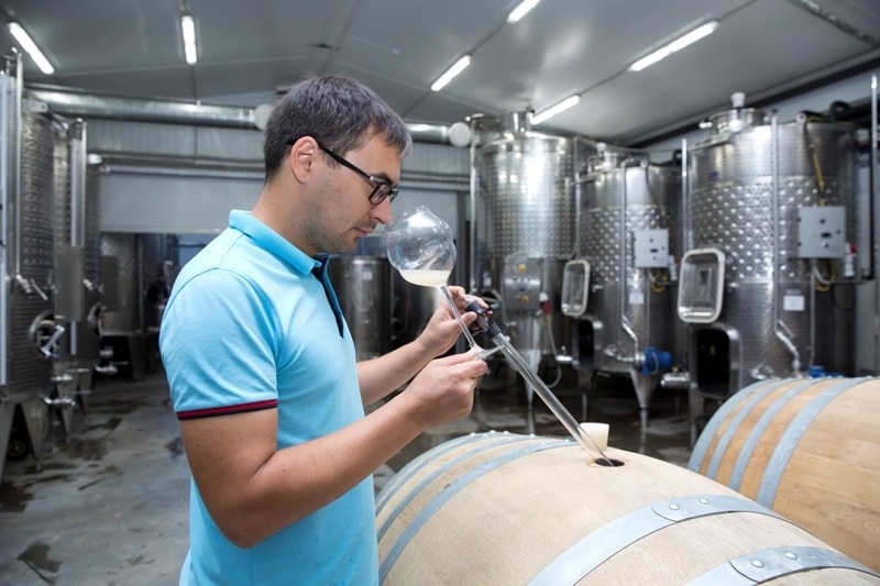 Сергей Коротков (Винодельня Гунько)