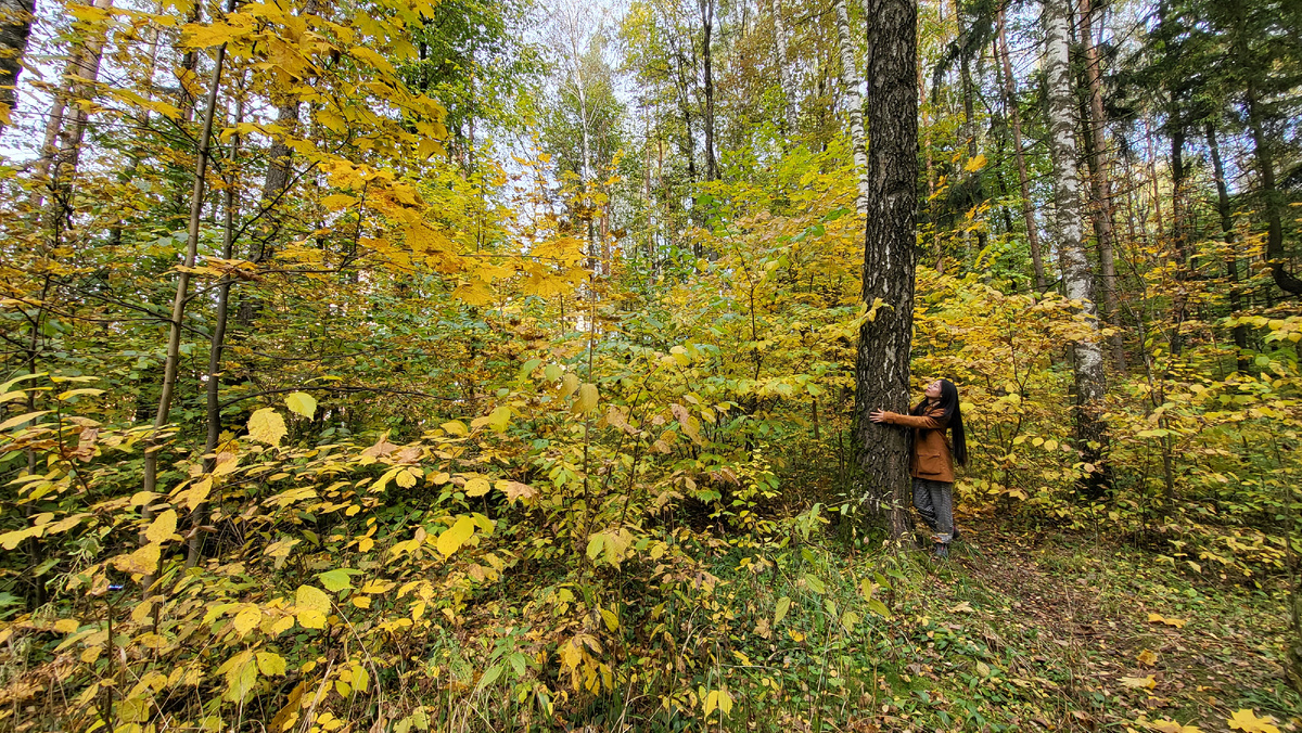 Когда-то очень давно в осеннем лесу