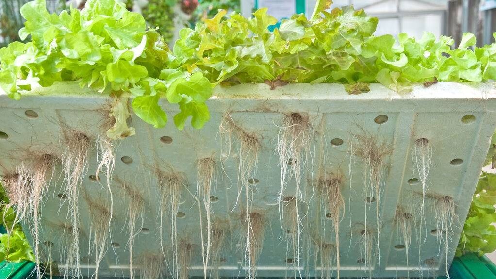 Сверху лампочки, снизу - водичка. Посередине - салат!