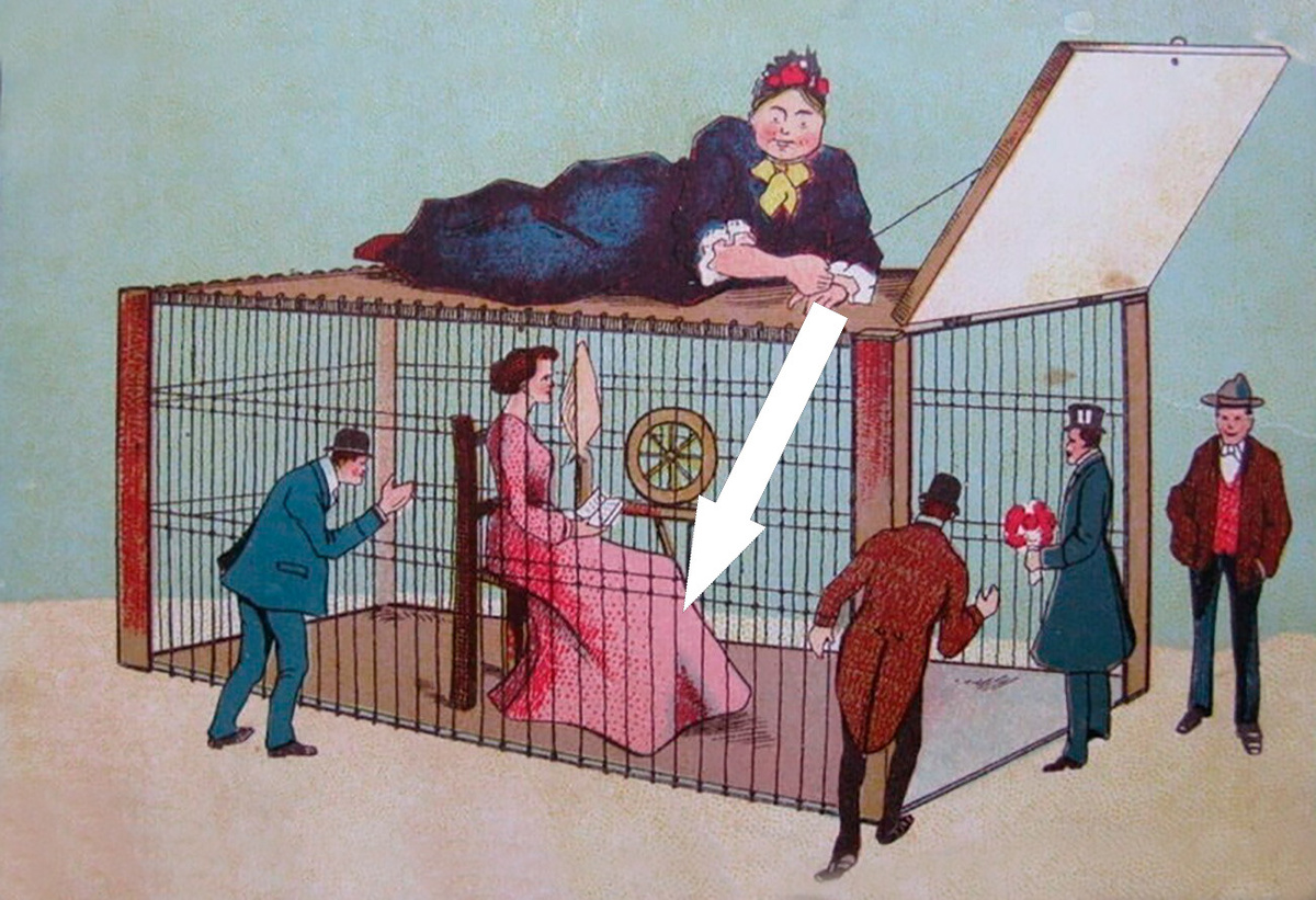    Смешные открытки для странных праздников, которые вызовут улыбку