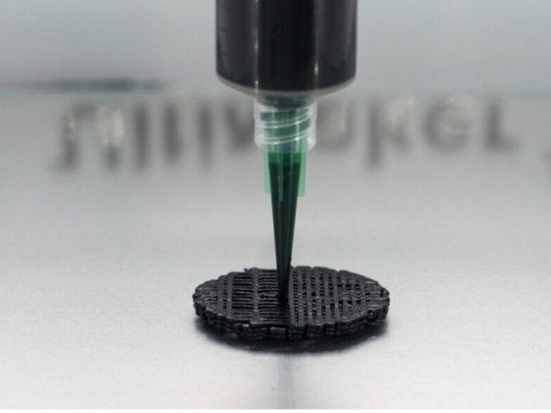    Из грибов сделали биоразлагаемые батареи