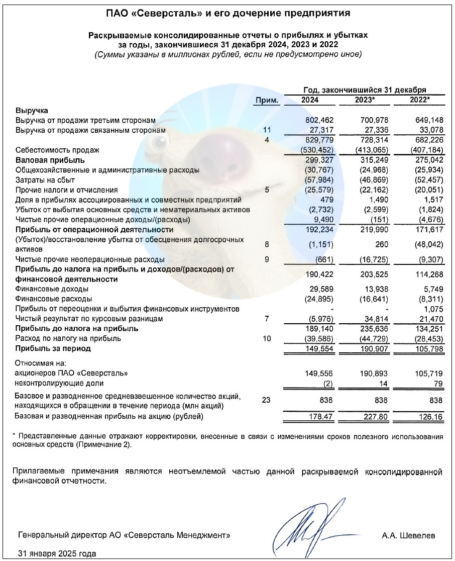 Источник: отчетность ПАО "Северсталь" по МСФО за 2024 год