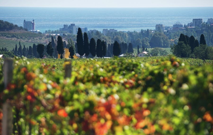     / Источник: © Сергей Мальгавко/РИА Новости