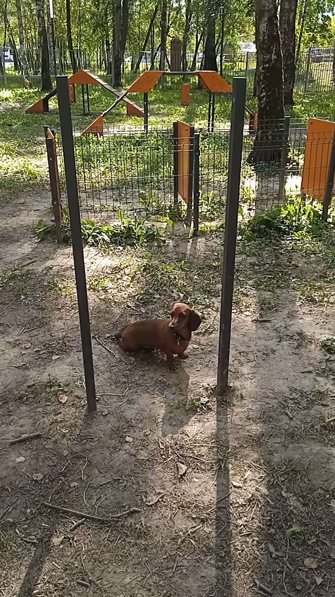 Алиса ждёт друга на площадке, но он не приходит