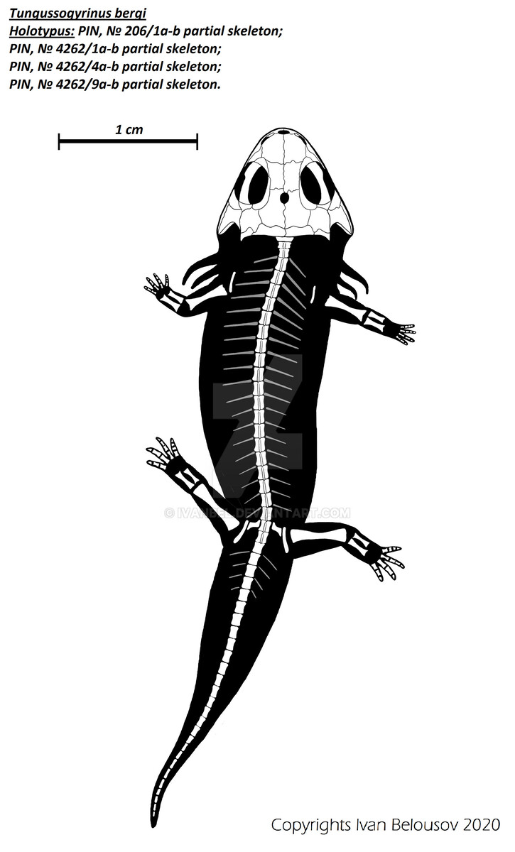 Реконструкция скелета тунгусогирина.