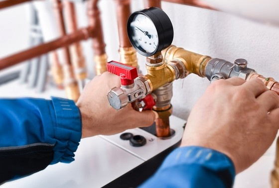    Shutterstock/FOTODOM