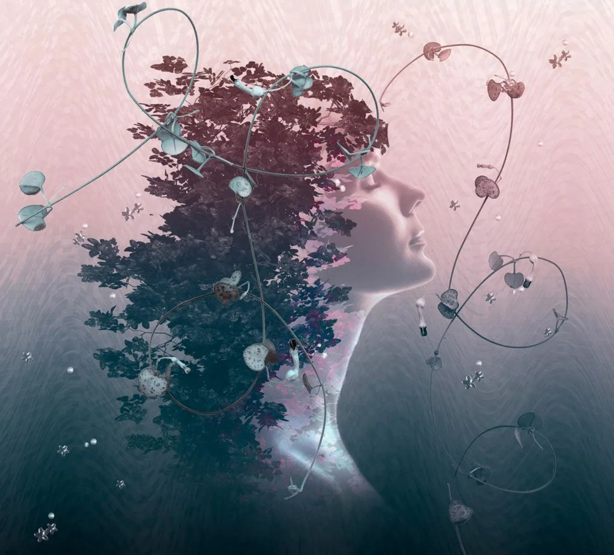 Изображение из интернета.