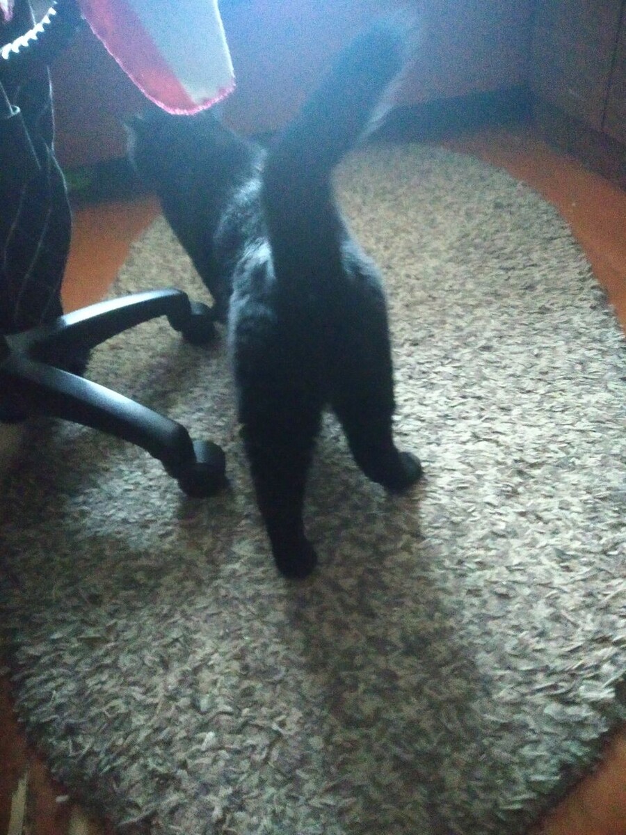 Фото автора.