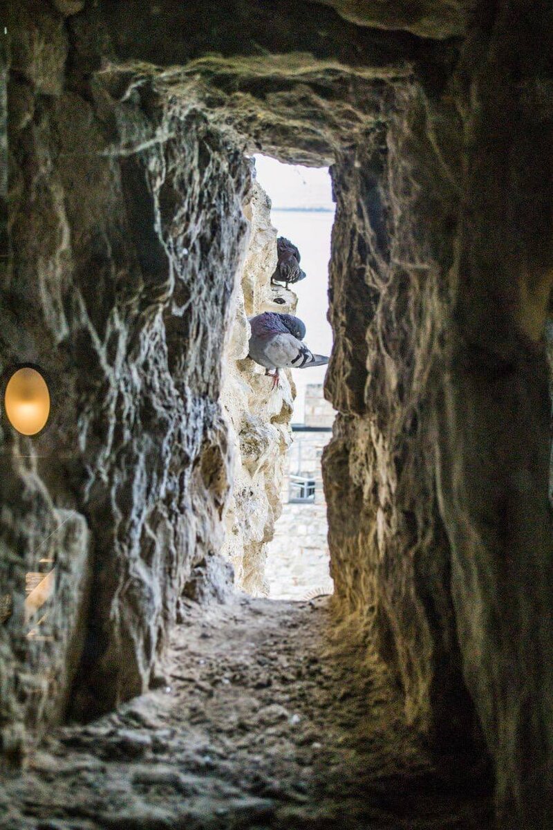 Все фото автора