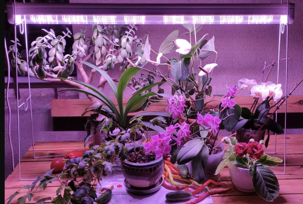 Фото с сайта производителя: https://reflaks.ru