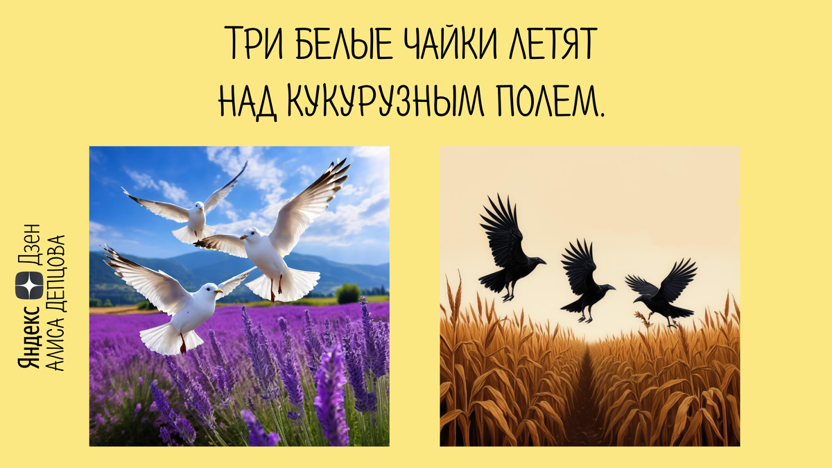 Левая картинка не подходит, потому что чайки летят не над кукурузным, а над лавандовым полем. Правая картинка тоже не подходит, потому что над кукурузным полем летят не чайки, а черные вороны. 