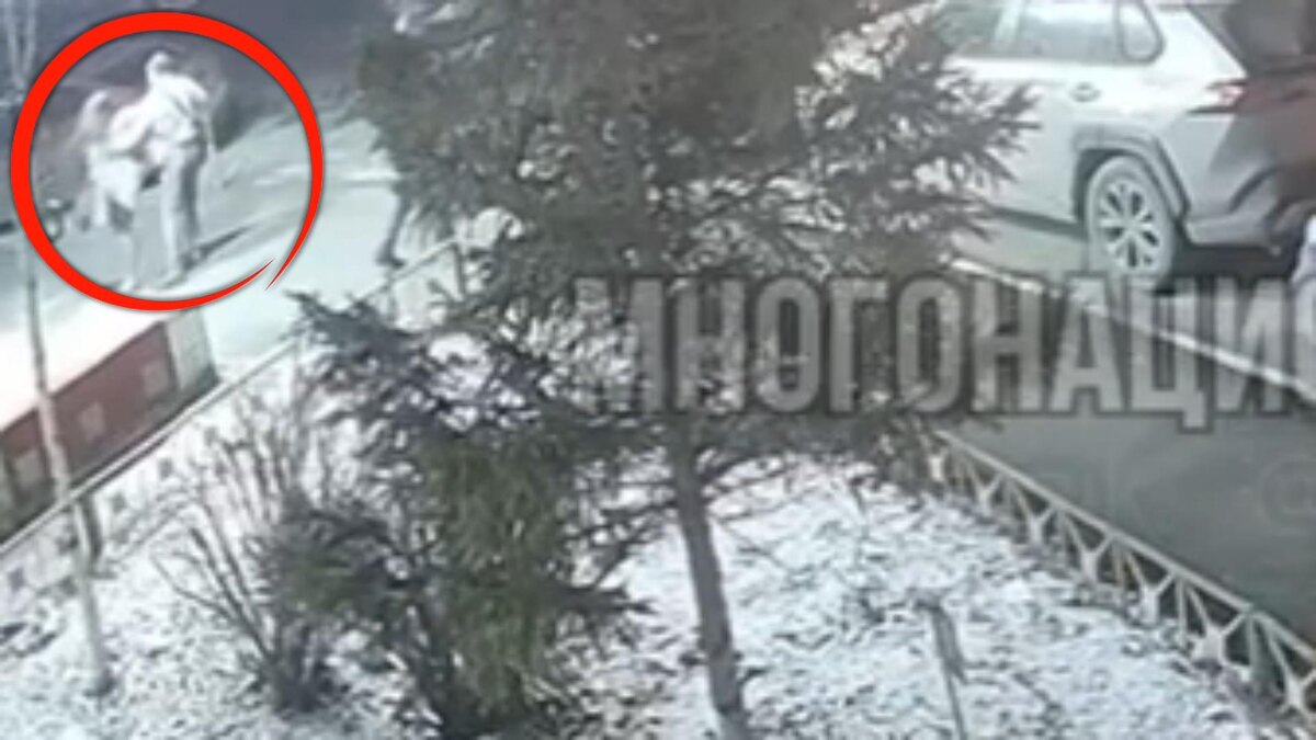 Автор: В. Панченко