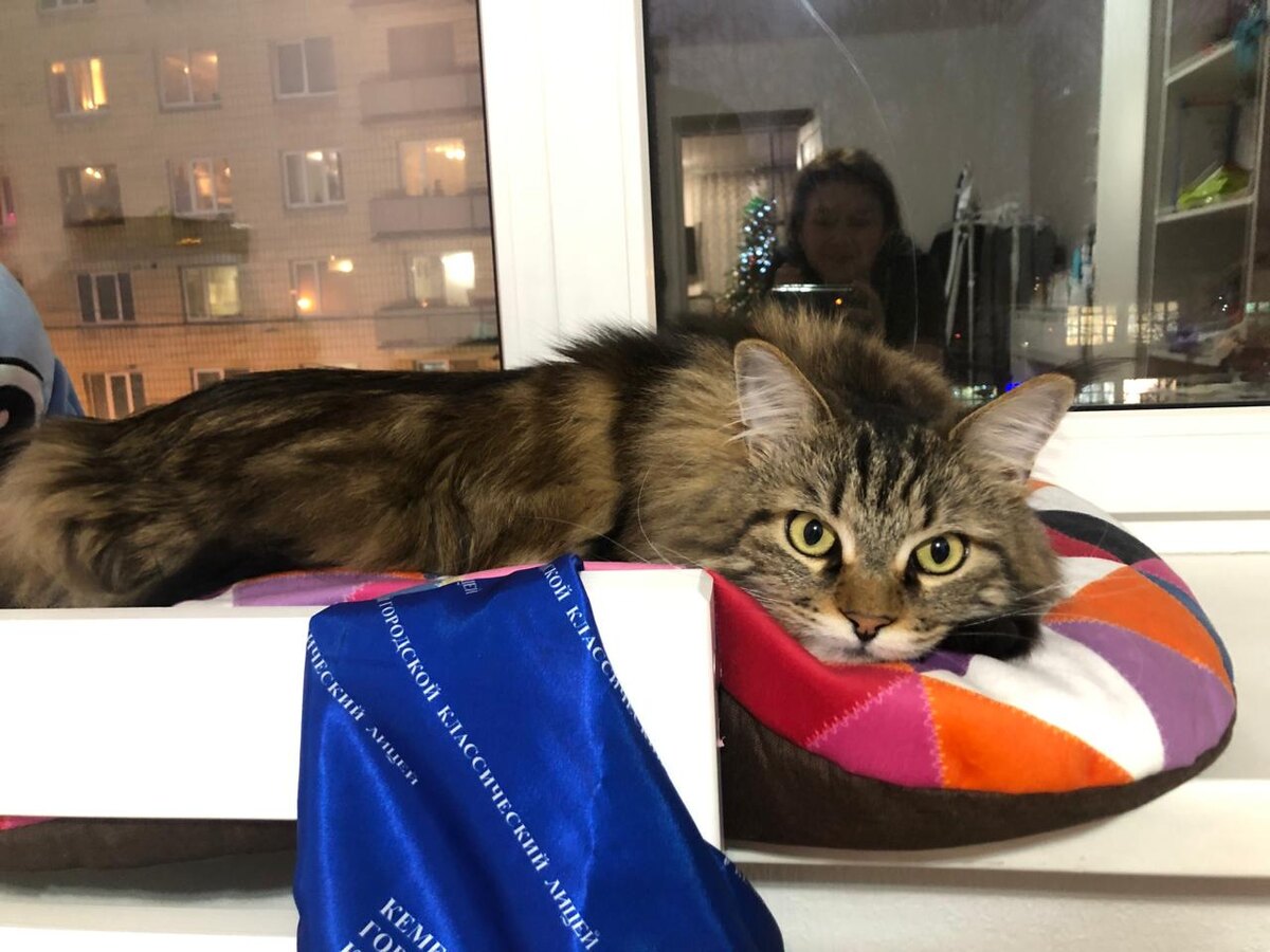 Мейкун Мэйса