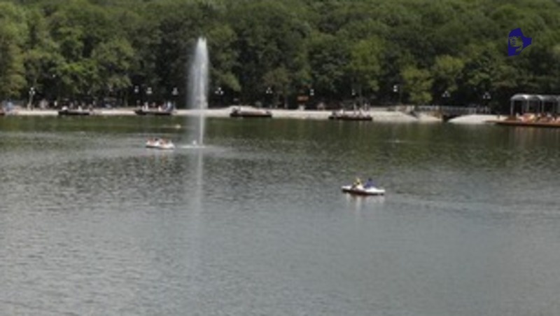      Фото: ИА «Победа26»